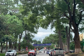 Gia Lai: Bình yên Tết Độc lập