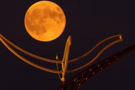 Thời điểm lý tưởng để chiêm ngưỡng trăng ngô ở Việt Nam