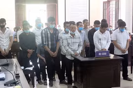 Vụ phá rừng VQG Phong Nha - Kẻ Bàng: Bị cáo khai chi "lót tay" cho nguyên Đồn trưởng mỗi tháng 10 triệu đồng