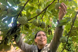 Phụ nữ Chư Pưh tiết kiệm để thoát nghèo