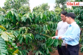 Sức sống mới ở làng tái định cư Ktu Dơng