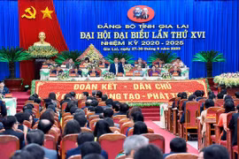 Đại hội đại biểu Đảng bộ tỉnh lần thứ XVI: Tập trung thảo luận về công tác xây dựng hệ thống chính trị