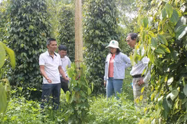 Những vấn đề "nóng" nông dân gửi tới Thủ tướng