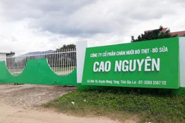 Gây ô nhiễm môi trường, Công ty cổ phần Chăn nuôi bò thịt-bò sữa Cao Nguyên bị xử phạt 70 triệu đồng