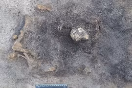 Bí ẩn hài cốt không phải con người nằm lẫn trong khu mộ cổ 8.400 năm