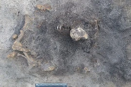 Bí ẩn hài cốt không phải con người nằm lẫn trong khu mộ cổ 8.400 năm