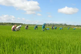 Lực lượng vũ trang Gia Lai "Điểm tựa" của người dân