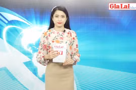 Đại hội đại biểu Đảng bộ tỉnh lần thứ XVI thành công tốt đẹp