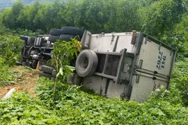 Xuống xe đi vệ sinh, tài xế bị chính xe của mình tông tử vong