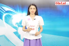 Đồng chí Hồ Văn Niên tái đắc cử Bí thư Tỉnh ủy Gia Lai khóa XVI