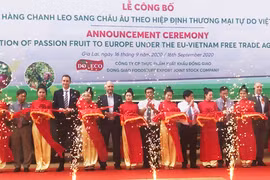 DOVECO xuất khẩu lô chanh dây đầu tiên sang châu Âu theo Hiệp định EVFTA