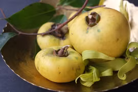 Quả ngon cuối mùa