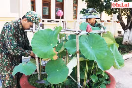 Tiểu đoàn Huấn luyện-Cơ động: Xây dựng đơn vị sáng-xanh-sạch-đẹp