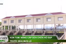 Kon Tum: Cấp tập nâng cấp sửa chữa hồ đập trước mùa mưa lũ