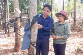 Trần Văn Hải: Xứng danh chiến sĩ thi đua