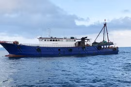 Bắt tàu cá Trung Quốc đánh bắt hải sản trái phép trên vùng biển Móng Cái