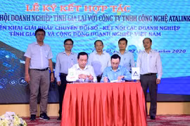 Doanh nghiệp Gia Lai chưa tận dụng thương mại điện tử