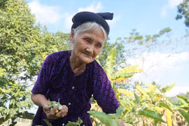 Cụ bà 84 tuổi xin thoát nghèo ở Thanh Hóa được khen thưởng thi đua yêu nước