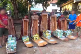 Triệt phá đường dây vận chuyển hơn 237 kg ma túy từ Lào vào Việt Nam