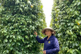 "Chân đất" từ tâm