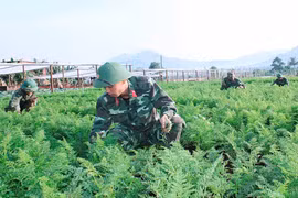 Quân đoàn 3: Đảm bảo điều kiện cho bộ đội đón Tết