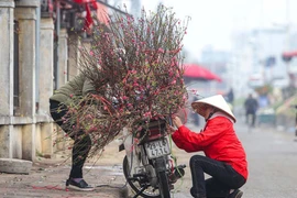 Nhớ một ngày xưa