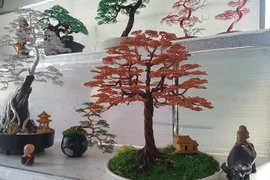 Chàng trai 'hô biến' dây đồng thành bonsai