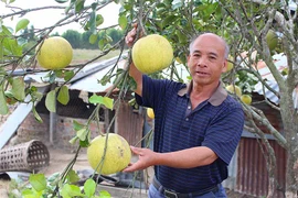 Cựu binh Nguyễn Thế Long: "Cho đi là còn mãi"