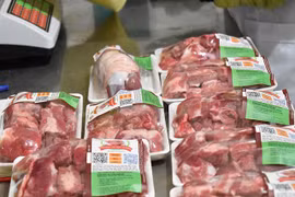 Thực hư thông tin giá thịt lợn nhập khẩu chỉ 25.000 đồng/kg