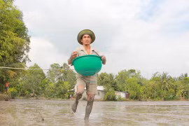 Ông mù mần ruộng