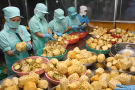 Kỷ lục: Nông sản thu 41,3 tỷ USD và sẽ hơn thế nữa...