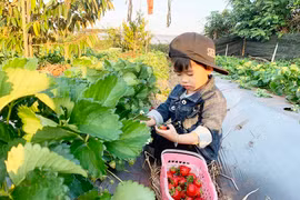 Nhiều mô hình du lịch trải nghiệm ở Gia Lai hút khách