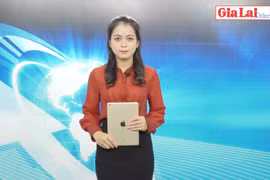 Gia Lai 48h: Đảm bảo nhu cầu đi lại của người dân trong dịp Tết