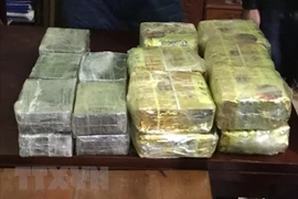 Nghệ An: Thu giữ lượng ma túy lớn, bắt hai đối tượng người Lào