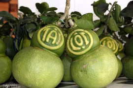 Dồi dào quà Tết "độc", lạ