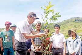 Nhịp sống mới Hà Đừng