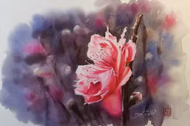 Họa sĩ Pháp vẽ hoa đào, hoa mai chào đón tết Việt