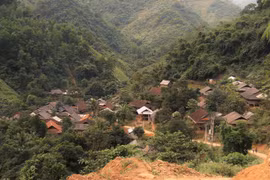 Buôn bán bào thai miền biên viễn: Rứt tình máu mủ nơi xứ người