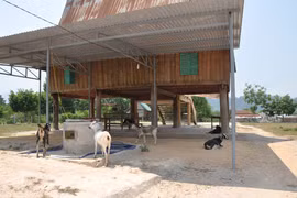 Bước qua lời nguyền