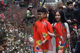 Người lao động bắt đầu nghỉ Tết Nguyên đán Canh tý từ ngày nào?