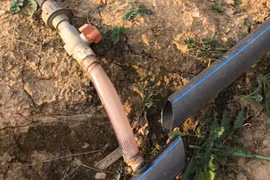 Đà Lạt: Phẫn nộ, hơn 300m ống nước tưới bị chặt phá tan tành