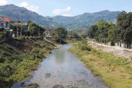 Chiều xuân trên Trà Bồng