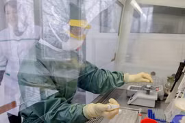 Khi nào hết dịch virus corona: Chuyên gia nói về thời điểm virus sẽ ổn định