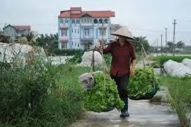 Ký ức Tết trong tôi: Mẹ đã cho con một mùa xuân ấm áp