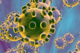 Sử dụng điều hòa ôtô đúng cách để hạn chế virus lọt vào