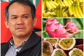 Điều gì khiến HAGL Agrico của bầu Đức lỗ ròng 2.308 tỷ đồng năm 2019?