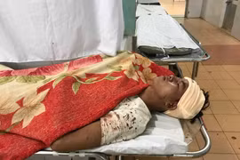 Hãi hùng "ma men" ngày Tết