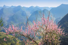 Mùng 1 Tết Canh Tý 2020: Du xuân lên cao nguyên đá xem 'đá nở hoa'