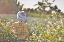 Nhiều địa điểm du xuân ở Phố núi