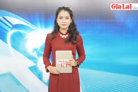 Gia Lai 48h: Người dân đón năm mới vui tươi, an lành